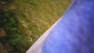 本直播间超白，你也来试试吧