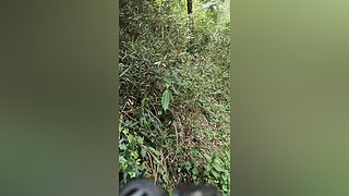 蜈蚣岭抓获猛人