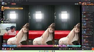 双倍亲密度 63136