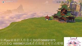 开始养老，mhy的老年韭菜