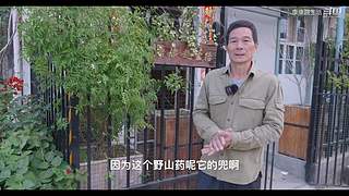 娱乐大于一切 10440627
