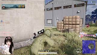 PUBG。三角洲都可（有位）