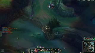 猪之间的战斗