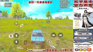 和平集市上新啦！！