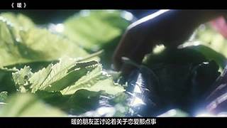 【一目十影】温情解说经典电影