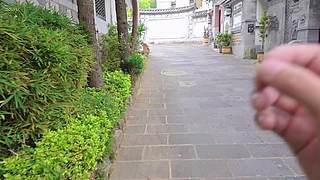 在大理和小鼠宝约会cp（飞你莫鼠）