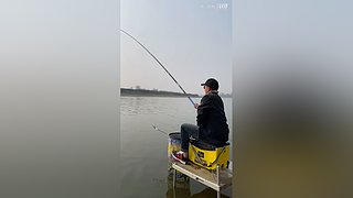 亮gnailux的直播间