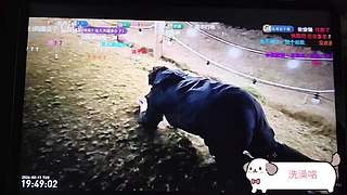 我爱上班耶耶耶220/459