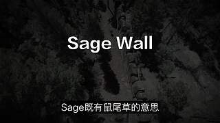 科学黑历史