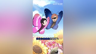 猫总白一航的直播间