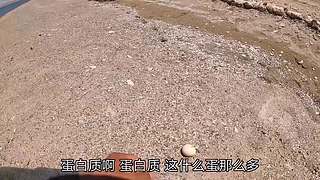 改装房车自驾游