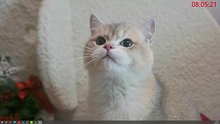 我一夜一夜一夜没阖眼