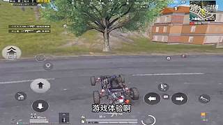 月殿玉兔直播间