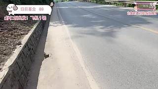 【非常757】途搭宝贝