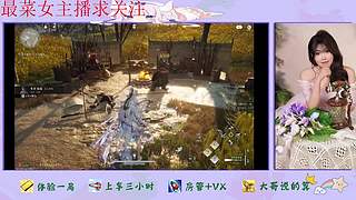 燕云十六声来了哦