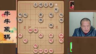牛牛象棋的直播间