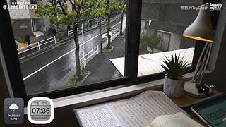 重生之奋发涂墙