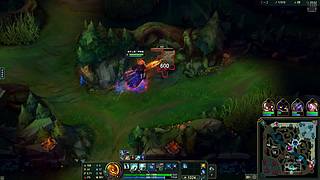极致当猪拉扯