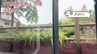熊掌新人主播开播第二天～