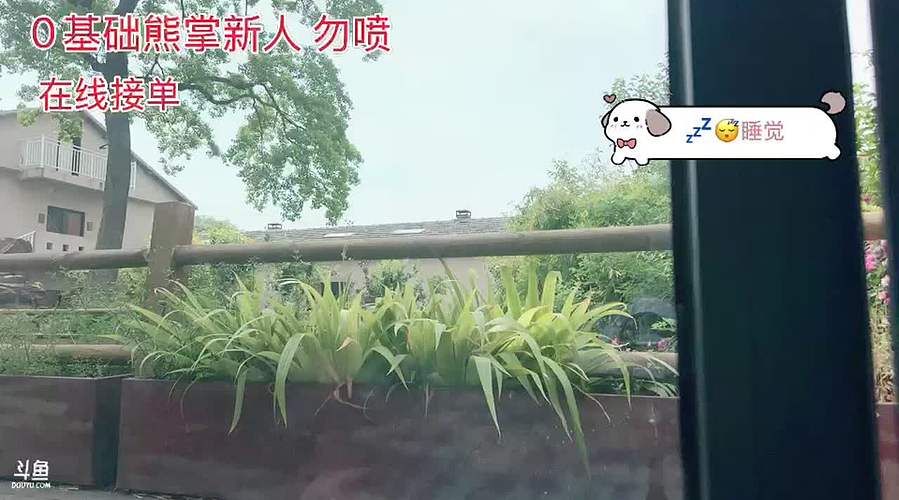 熊掌新人主播开播第二天～