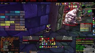 魔兽世界怀旧服 哈霍兰40人NAXX