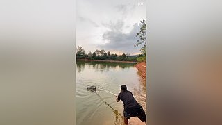 亮gnailux的直播间