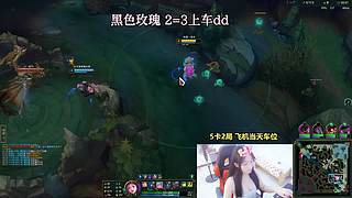 全区有号 人美声甜话多不高冷