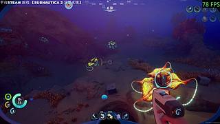 游戏名：Subnautica 2 异星水