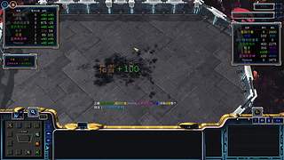 蓝桉：还在备战高考中！