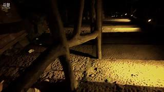 长沙第二天