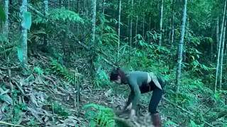 户外丛林生存轮播