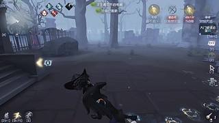 第五人格了解一下 11561126