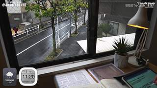 重生之奋发涂墙