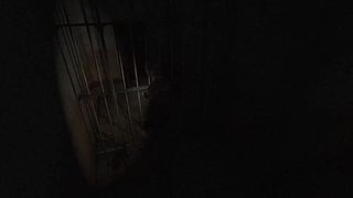 直播【怪猎物语3】，录播【寂静岭】！