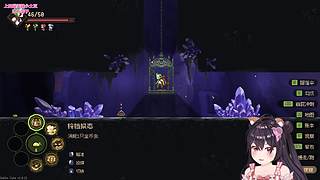【小奶团】周日到 小葵来报到