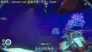 好玩的游戏这里都有哇