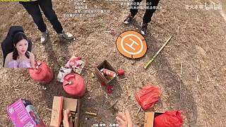 十三：电子陪伴专业户
