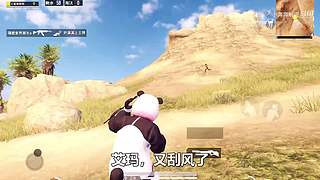 小奔奔解说的直播间