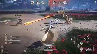 我与将心向明月奈何明月照沟渠