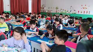 公益直播课 6558313
