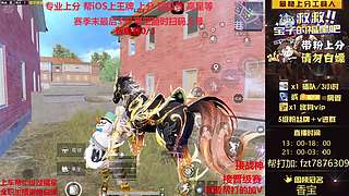 【晋级赛专业户】帮IOS上分/帮打