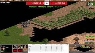 帝国时代菜鸟局