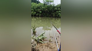 蜈蚣岭抓获猛人