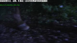 线上狄仁杰