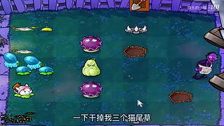 宝子们，开席了！