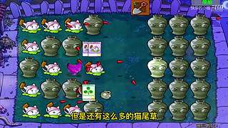 宝子们，开席了！