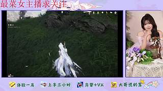 燕云十六声来了哦
