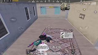 月殿玉兔直播间
