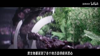 【猫叔】找点老游戏玩好了~~~~
