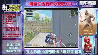 精英手册 小番茄木乃伊入口